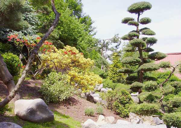 Ogród Japoński w Jarkowi
