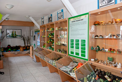 Muzeum żaby w Kudowie Zdroju